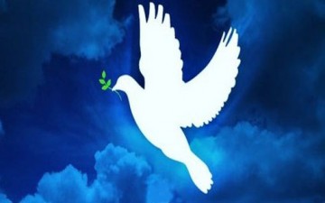 العنف واللاعنف من وجهة نظر إسلامية